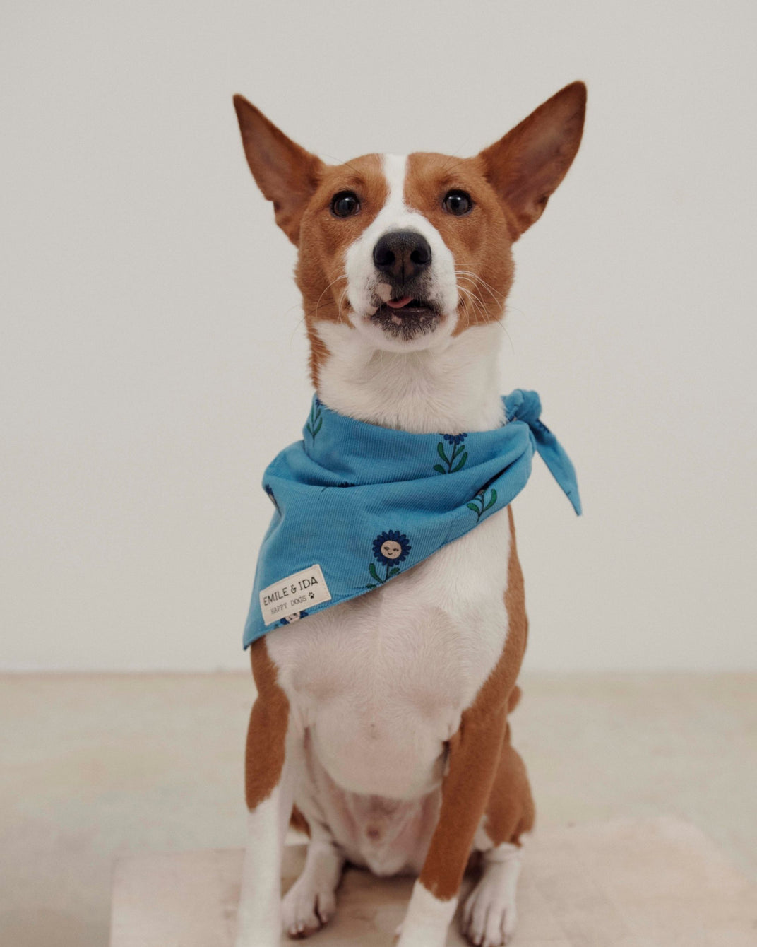 Margot dog bandana